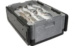 Overath Flip Box BIG Faltbare Isolierbox 39 Liter -Dometic Verkäufe 120016 2250319