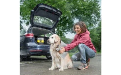 Kärcher Mobile Outdoor Cleaner OC 3 Akku-Niedrigdruckreiniger Inklusive Pet Box -Dometic Verkäufe 284611 2413555