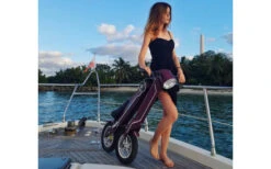 Lehe K1 + E-Mofa Olivgrün -Dometic Verkäufe 285795 2041680 2