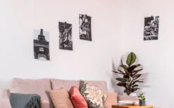 Silwy® Flex Magnethaken Inkl. Metall-Nano-Gel-Pads 5 Cm 8-tlg. Blau 13 Silwy® Flex Magnethaken Inkl. Metall-Nano-Gel-Pads 5 Cm 8-tlg. Blau -Dometic Verkäufe 336857 2526568