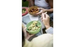 Koziol Club Geschirr-Set 16-tlg. Grün -Dometic Verkäufe 446693 3144593