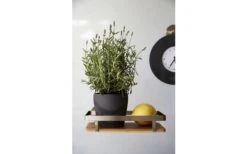 Wenko Universalregal Premium Wandregal 7 Wenko Universalregal Premium Wandregal -Dometic Verkäufe 516434 3504149