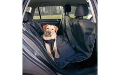 Jollypaw Auto-Schondecke 140 X 160 Cm Schwarz