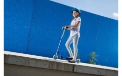 Micro Scooter Sprite Purple Stripe -Dometic Verkäufe 535888 3521201 2