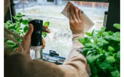 MikiGREEN Öko.Schwamm.Tücher 2er-Pack -Dometic Verkäufe 574939 3927991