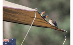 Gordigear Dachzelt 165 Plus Für 3 Personen Mit Vorzelt 165 X 320 Cm Grün 13 Gordigear Dachzelt 165 Plus Für 3 Personen Mit Vorzelt 165 X 320 Cm Grün -Dometic Verkäufe 585663 3986115