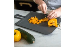 Koziol Schneidebrett Snap L Nature Coral