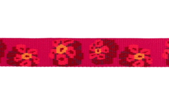 Ruffwear Flat Out Hundehalsband 28 - 36 Cm Alpenglow Burst 1 Ruffwear Flat Out Hundehalsband 28 - 36 Cm Alpenglow Burst