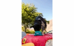 Ruffwear Quencher Cinch Top Hundenapf Für Unterwegs M Tumalo Teal 12 Ruffwear Quencher Cinch Top Hundenapf Für Unterwegs M Tumalo Teal -Dometic Verkäufe 592447 4304167