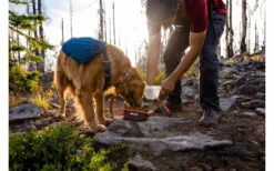 Ruffwear Quencher Hundenapf Für Unterwegs Turnalo Teal M -Dometic Verkäufe 592579 4304783