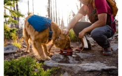 Ruffwear Quencher Hundenapf Für Unterwegs Fired Brick S -Dometic Verkäufe 592835 4304791 1