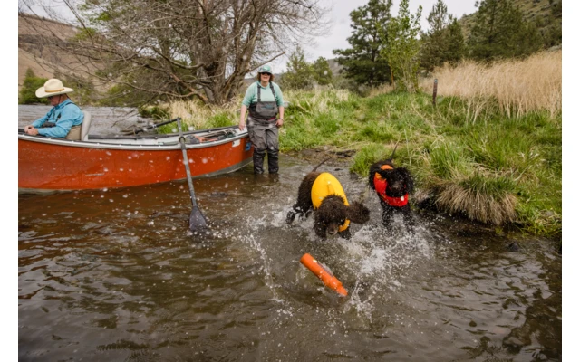Ruffwear Float Coat Schwimmweste Für Hunde Red Sumac XS 6 Ruffwear Float Coat Schwimmweste Für Hunde Red Sumac XS – Bild 6