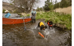 Ruffwear Float Coat Schwimmweste Für Hunde Wave Orange XS -Dometic Verkäufe 592983 4307363