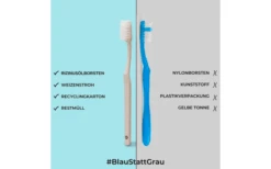 Chinchilla Zahnbürste Biologisch Abbaubar 1 Stück 11 Chinchilla Zahnbürste Biologisch Abbaubar 1 Stück -Dometic Verkäufe 607835 4419203