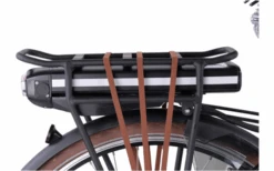 Llobe Rosendaal 3 Lady City E-Bike 28 Zoll Schwarz 13 Ah -Dometic Verkäufe 661470 4604217