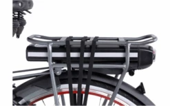 Llobe Rosendaal 3 Lady City E-Bike 28 Zoll Grau 13 Ah -Dometic Verkäufe 663528 4604373