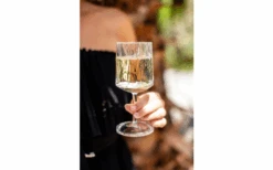 Berger Weinglas 2er Set -Dometic Verkäufe 690069 4697631