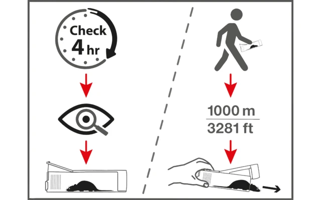 Swissinno Lebendfalle Maushaus Inkl. Köder Giftfrei 2 Swissinno Lebendfalle Maushaus Inkl. Köder Giftfrei – Bild 2