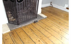 Swissinno Connect Super Cat Fangalarm Fangmelder Mit Bluetooth -Dometic Verkäufe 729803 5025846