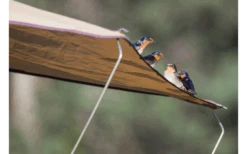 Gordigear Dachzelt Für 2 Personen Mit Staufläche 140 X 240 Cm Grün -Dometic Verkäufe 737312 4968290