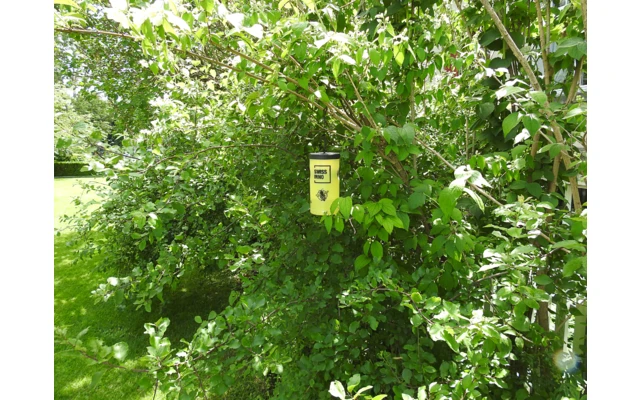 Swissinno Wespenfalle Inkl. Köder -giftfrei- 3 Swissinno Wespenfalle Inkl. Köder -giftfrei- – Bild 3