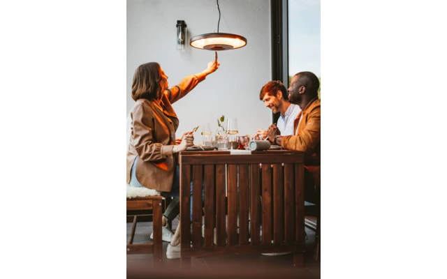 Enders Loom - Elektro-Deckenheizstrahler 2 Enders Loom - Elektro-Deckenheizstrahler – Bild 2